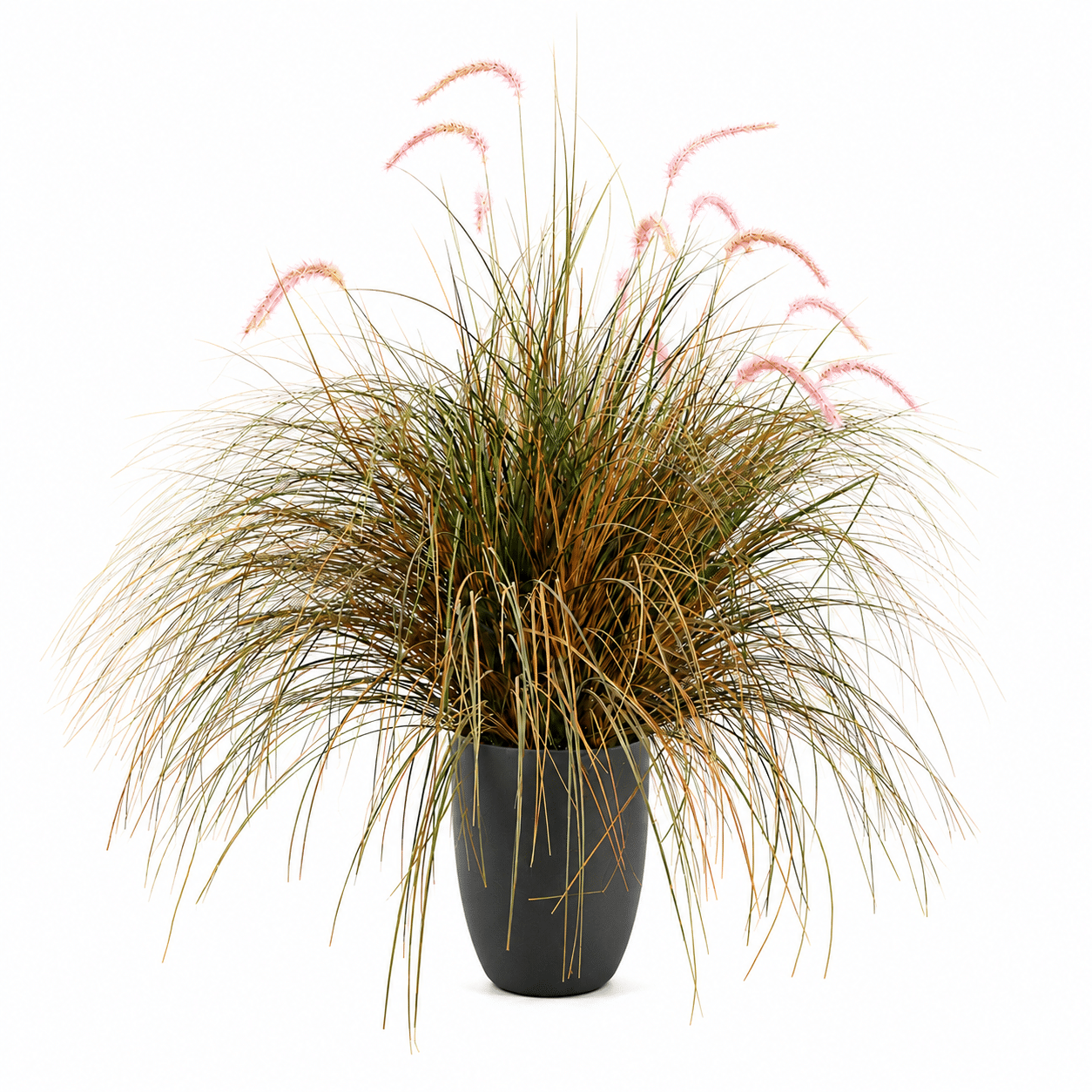 Planta Artificiala Iarba Ornamentala Tip Coada de Vulpe, 120cm, Iarba curbata si Spice, Verde si Roz, Fara Ghiveci Planta Artificiala Iarba Ornamentala Tip Coada de Vulpe, 120cm, Iarba curbata si Spice, Verde si Roz, Fara Ghiveci