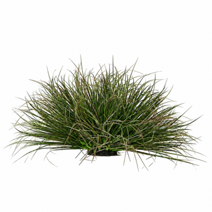 Planta Artificiala Tufa de Iarba Tip Ceapa Curbata, 28 cm, Densitate Redusa, Verde Inchis, Fara Ghiveci